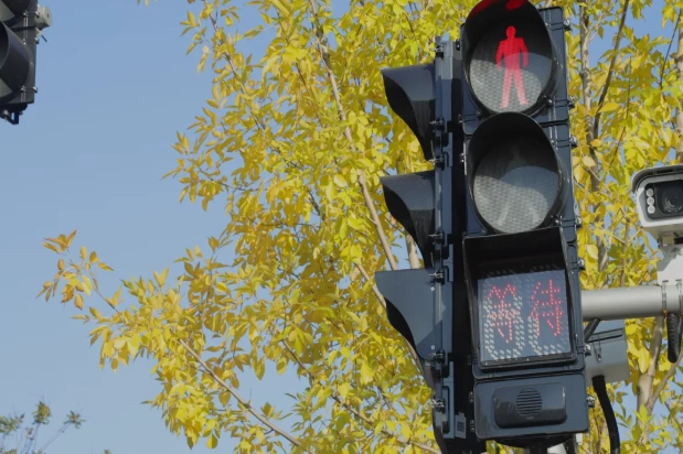 Les signaux sonores pour piétons FAMA avec boîtier en plastique atteignent plus de 7 500 unités vendues en novembre, déployées à plus de 1 000 intersections. Les signaux sonores pour piétons FAMA avec boîtier en plastique atteignent plus de 7 500 unités vendues en novembre, déployées à plus de 1 000 intersections.